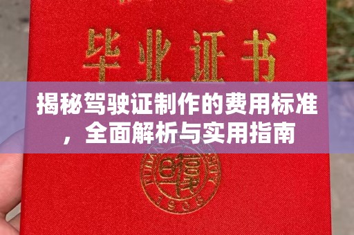 青阳揭秘驾驶证制作的费用标准，全面解析与实用指南