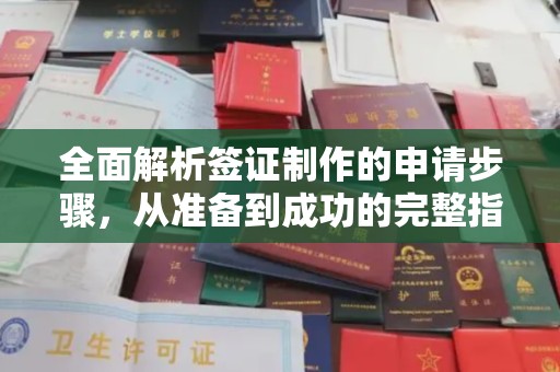 青阳全面解析签证制作的申请步骤，从准备到成功的完整指南