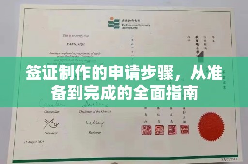 青阳签证制作的申请步骤，从准备到完成的全面指南